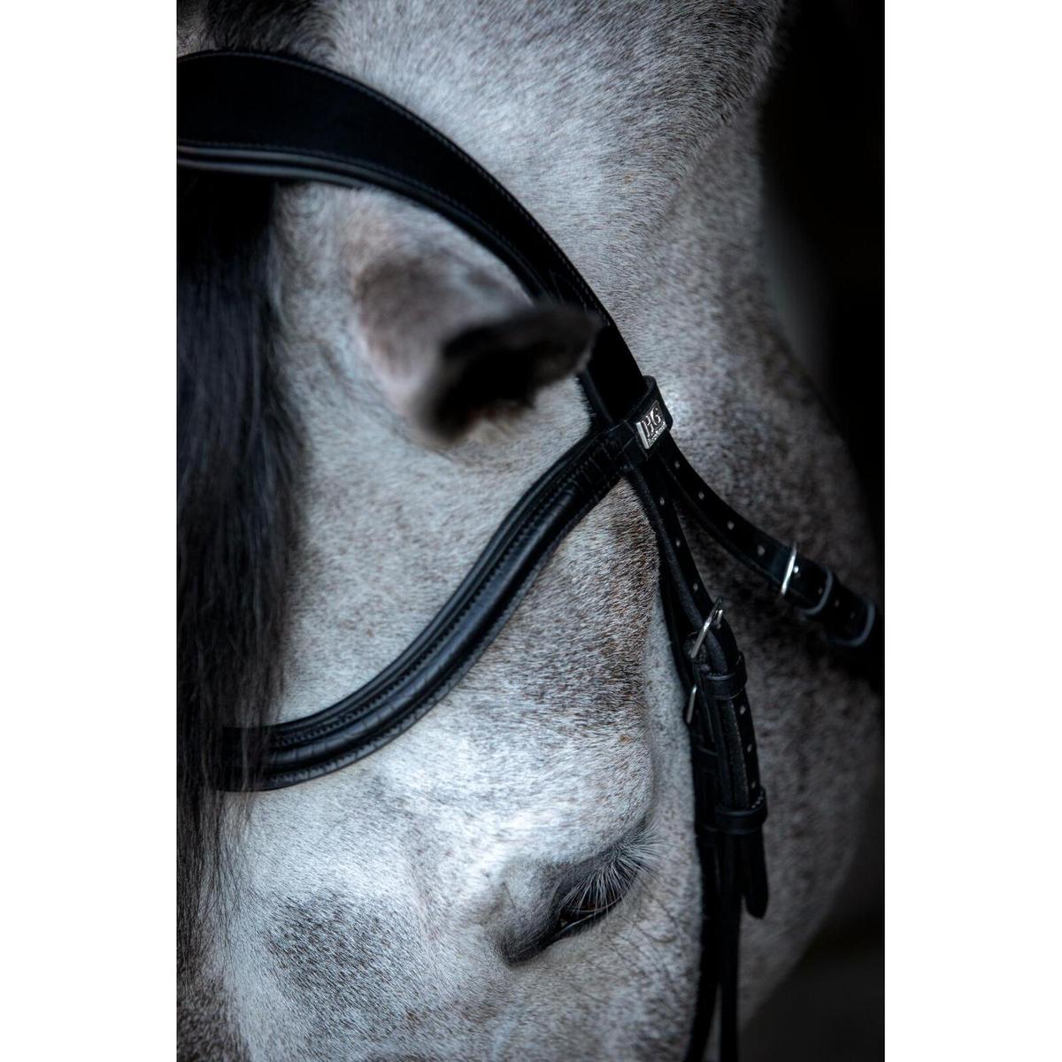 product/h/o/horseguard_505500201_black_3.jpg