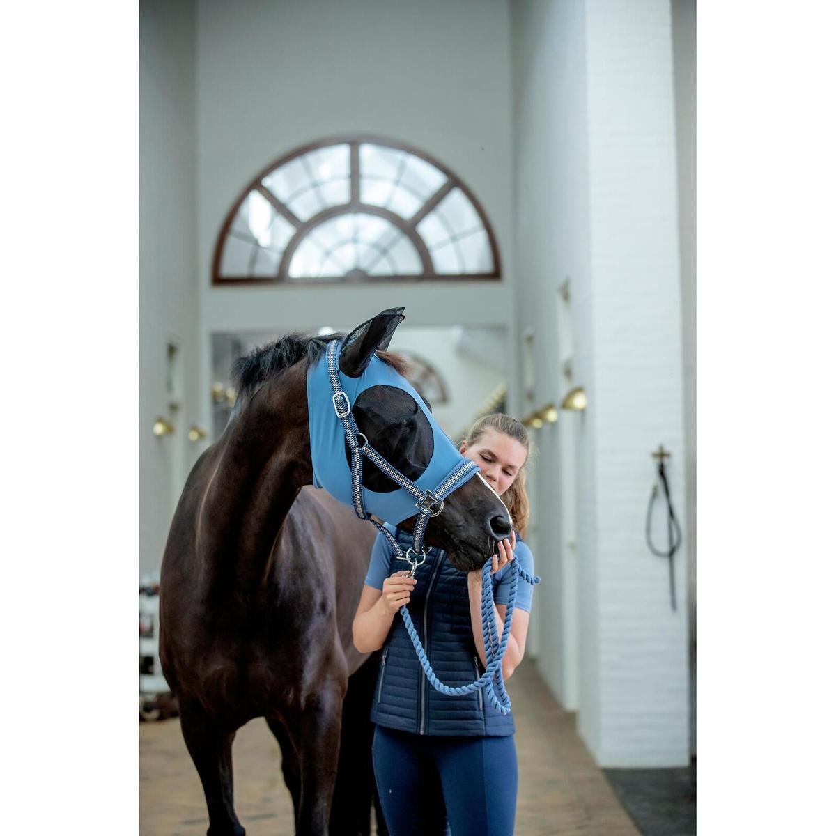 product/h/o/horseguard_50576200110_coronet-blue_2.jpg
