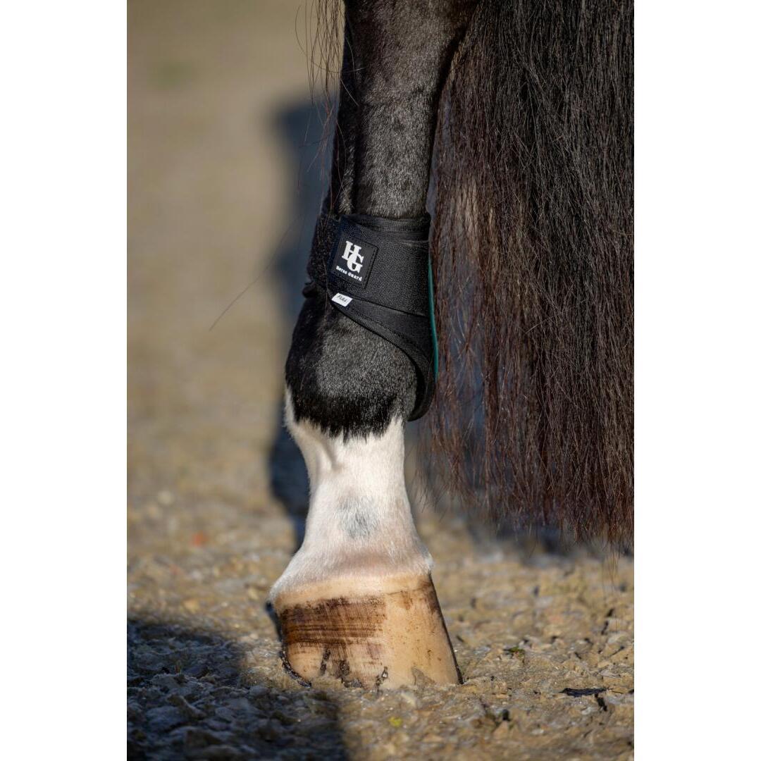 product/h/o/horseguard_50582200117_ponderosa-pine_1.jpg