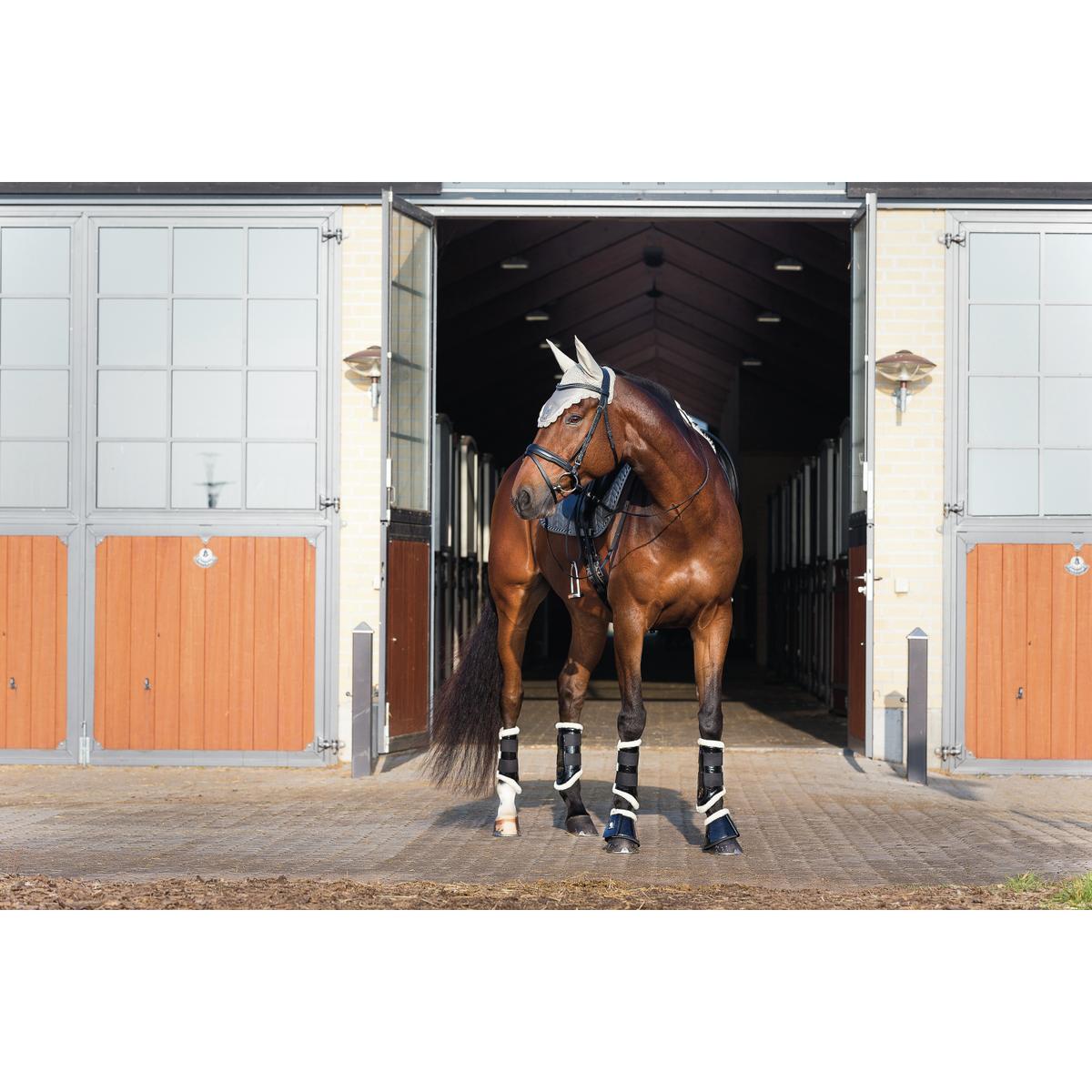 product/h/o/horseguard_52034_2.jpg