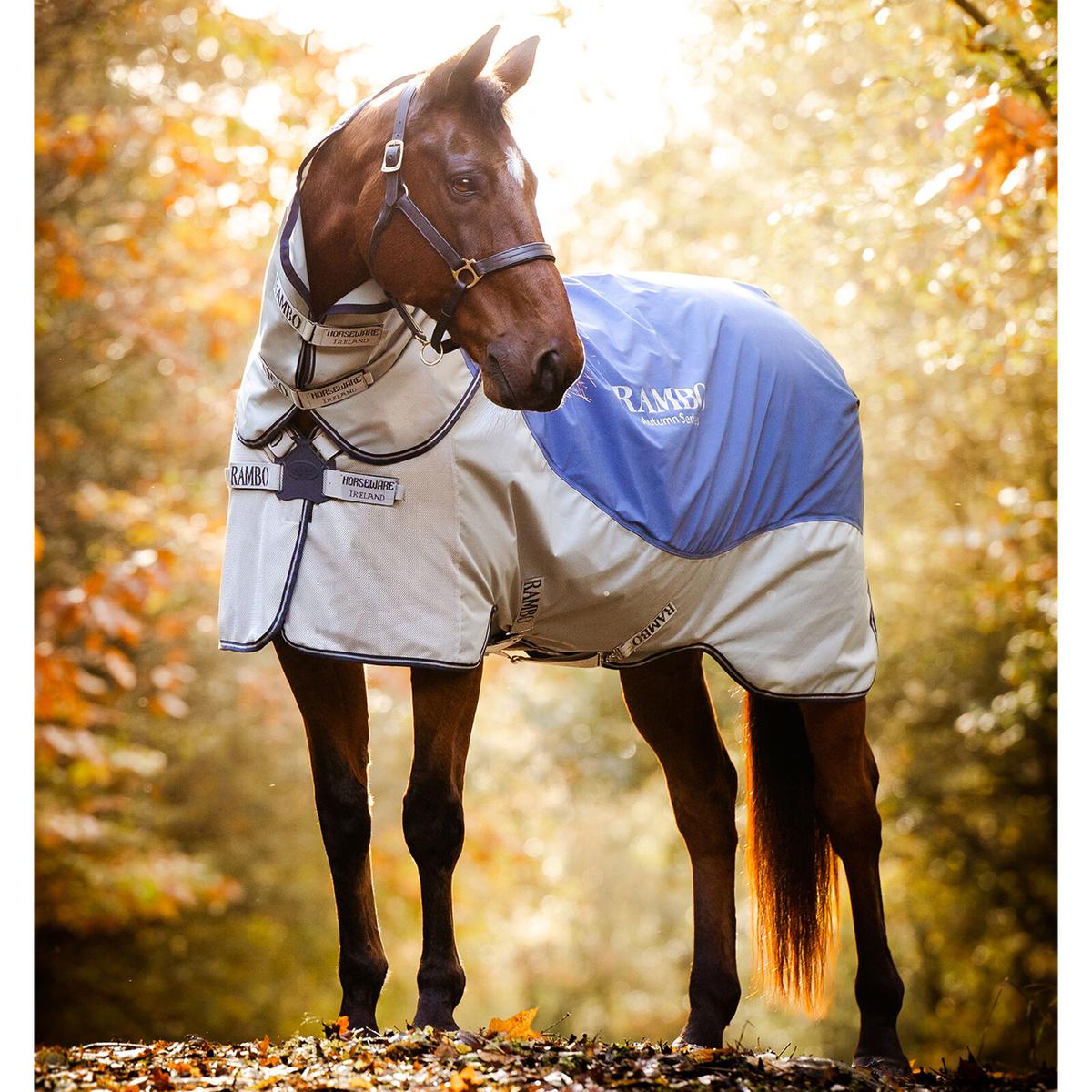 product/h/o/horseware_aaafmb-bj00-66_navy-grey_1.jpg
