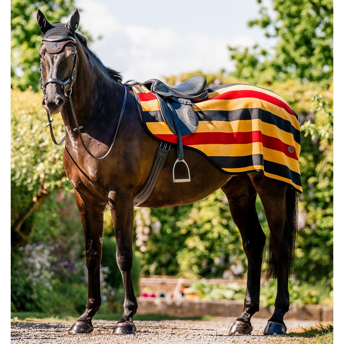 product/h/o/horseware_aehrrn-vrk0-la_witney-gold_3.jpg