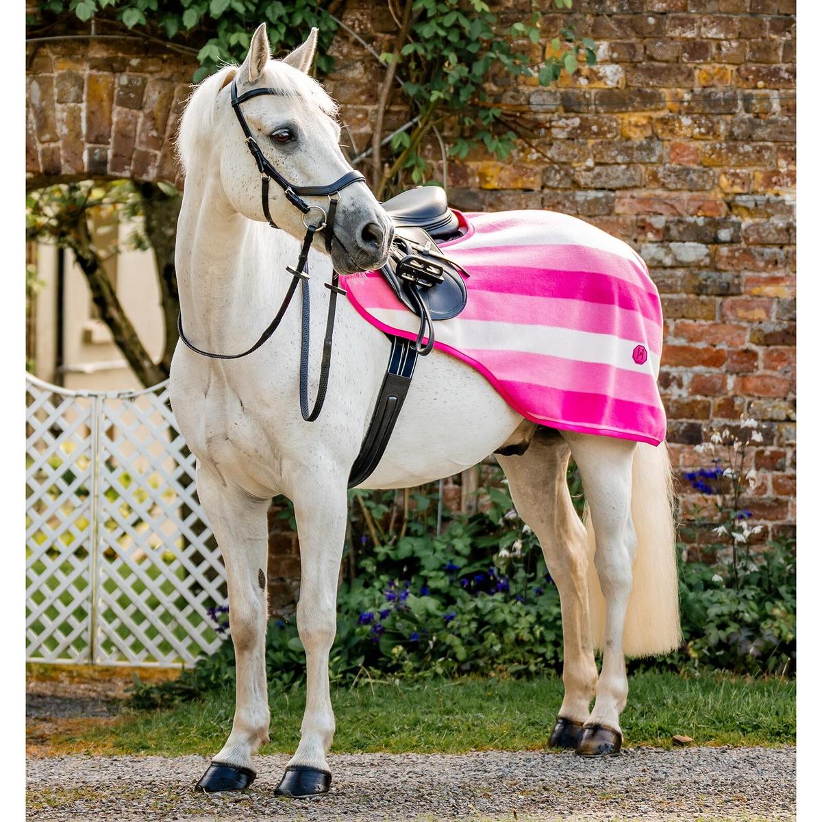 product/h/o/horseware_aehrrn-vrkz-la_witney-pink_1.jpg