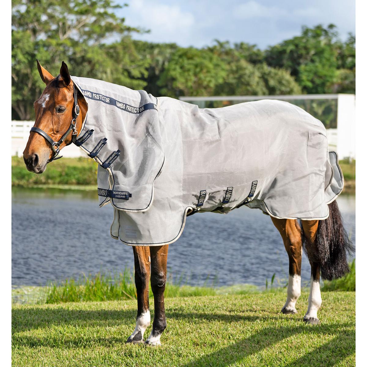 product/h/o/horseware_afanms-ibwt-66_silver-navy-white-beige_1.jpg