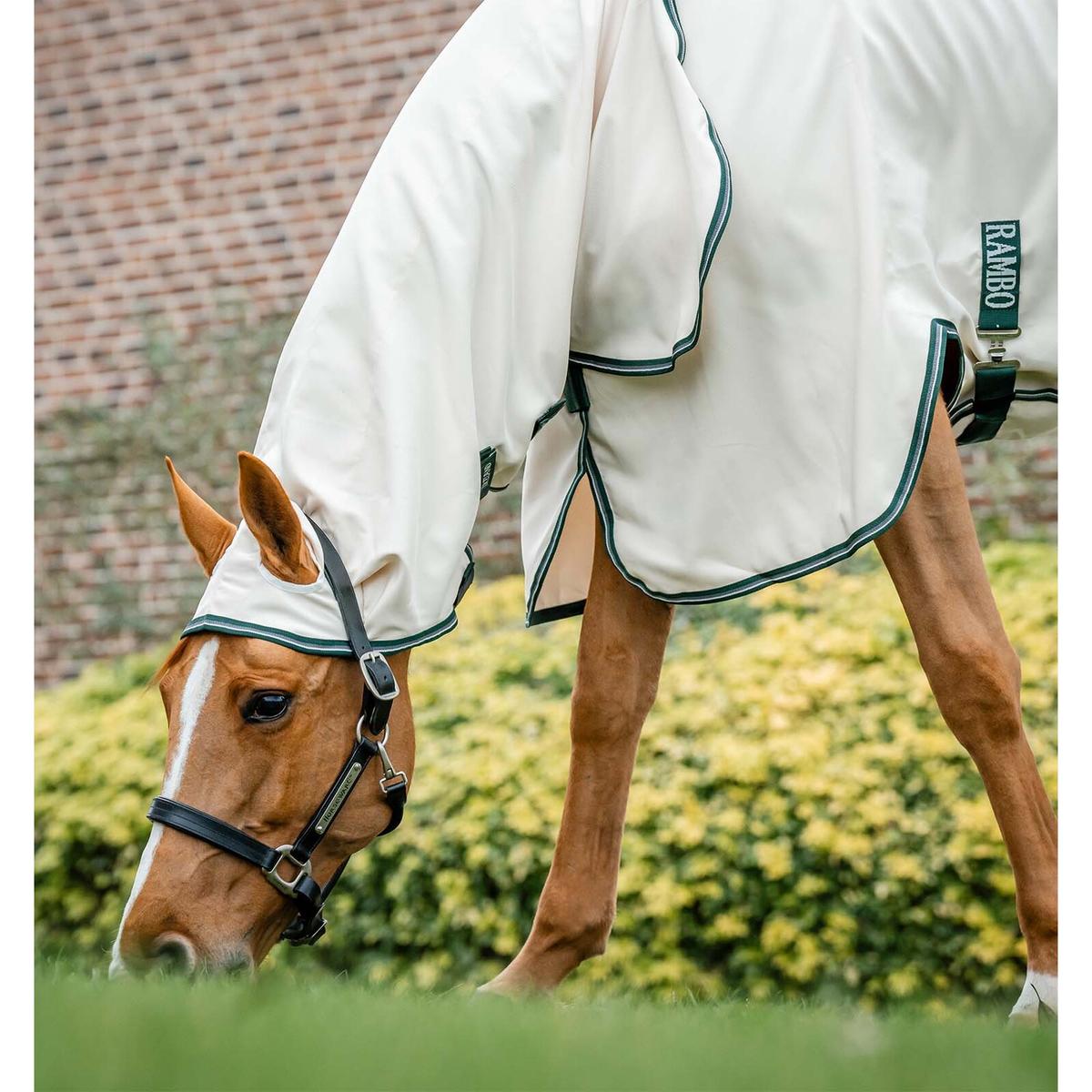 product/h/o/horseware_afap70-uhi0-66_chalk-hunter-green-silver_2.jpg