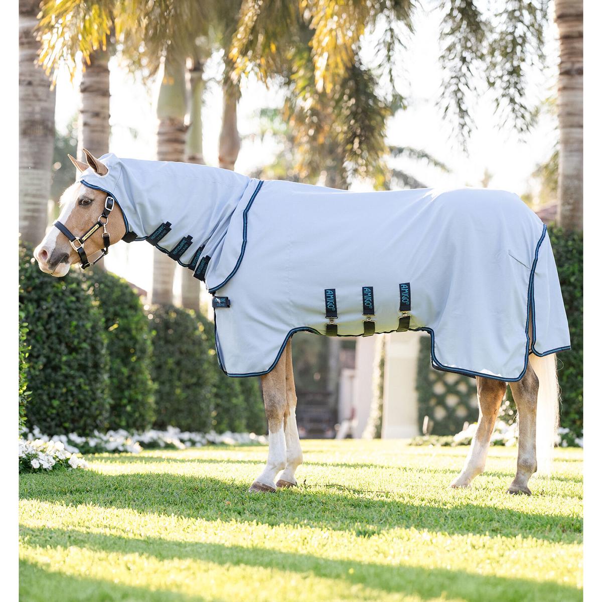 product/h/o/horseware_afrdm0-cbe0-45_azure-blue-navy-electric-blue_1.jpg