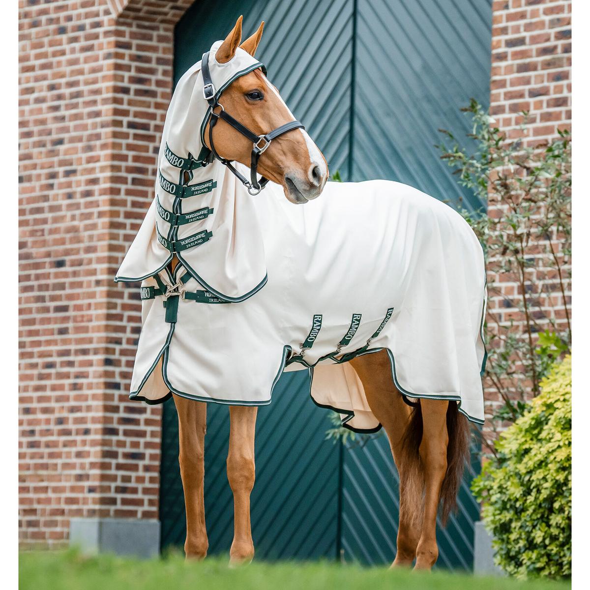 product/h/o/horseware_aoap70-uhi0-45_chalk-hunter-green-silver_1.jpg
