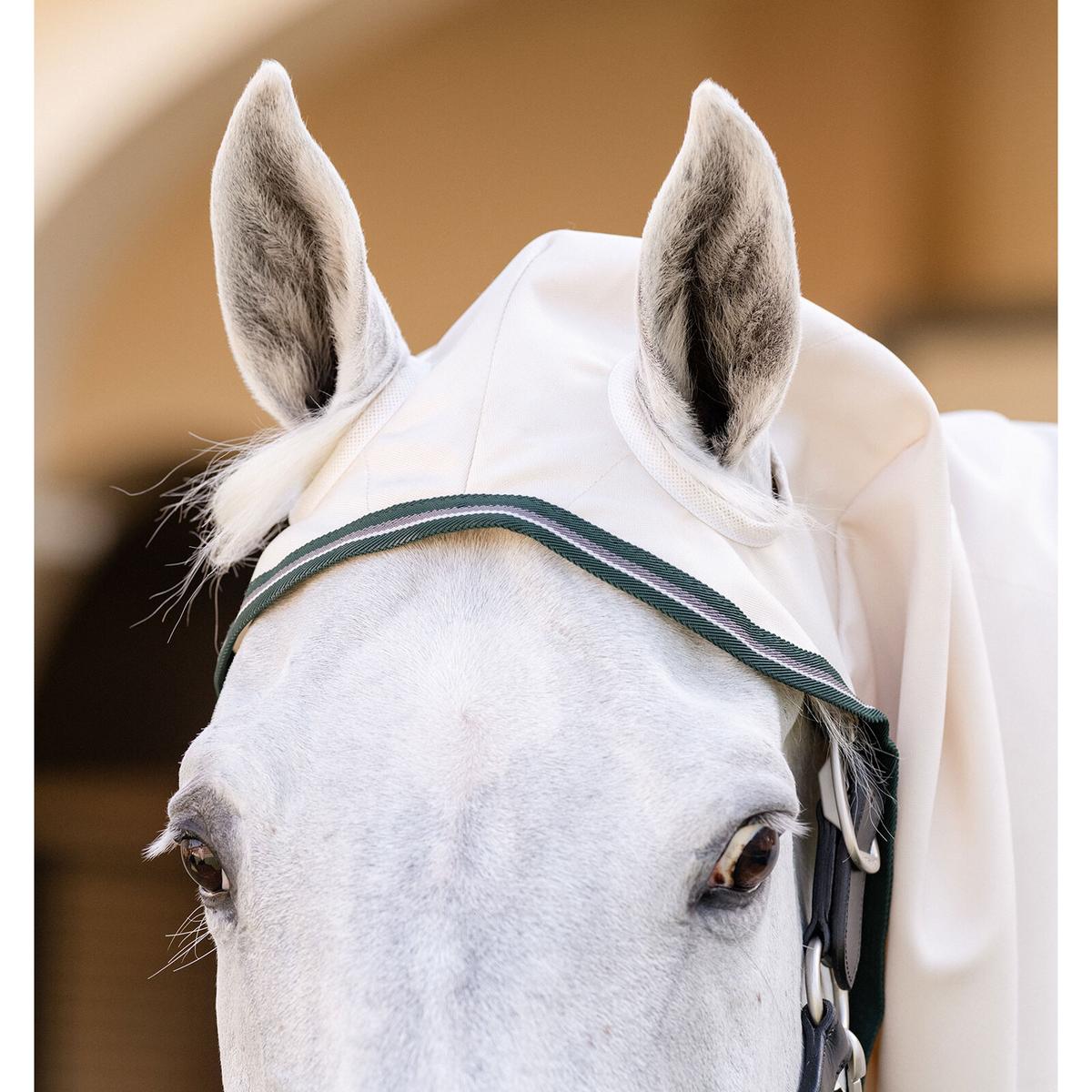 product/h/o/horseware_aoap70-uhi0-45_chalk-hunter-green-silver_3.jpg