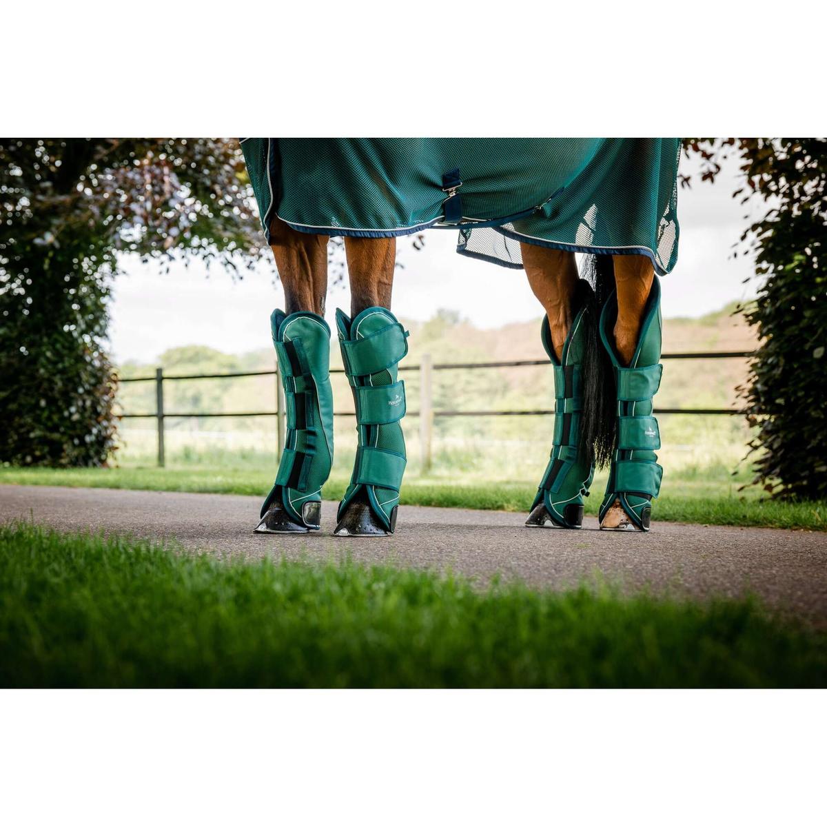 product/h/o/horseware_ddhtm0-h000-co_hunter-green_2.jpg