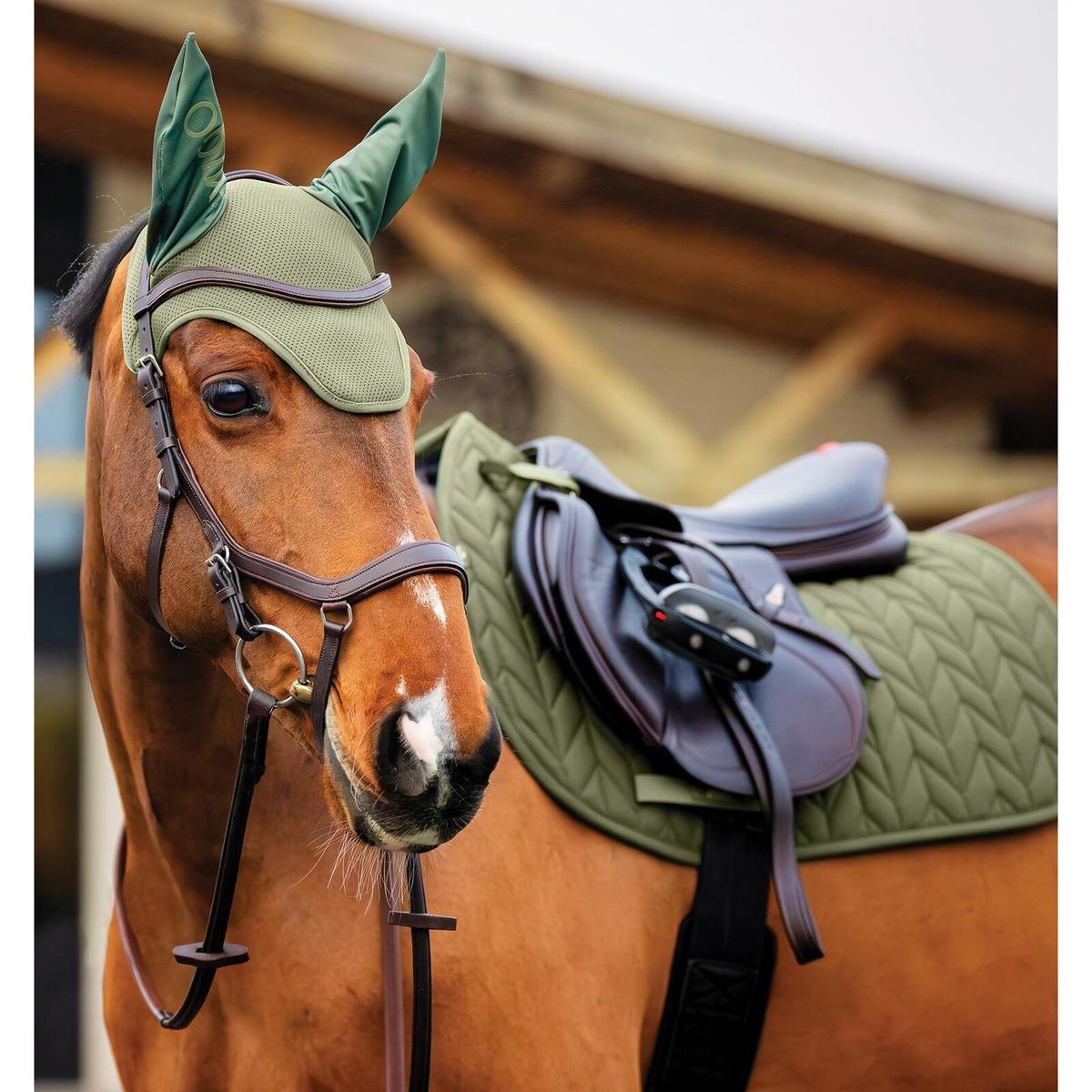 product/h/o/horseware_dera01-ggg0-ch_bramble_1.jpg