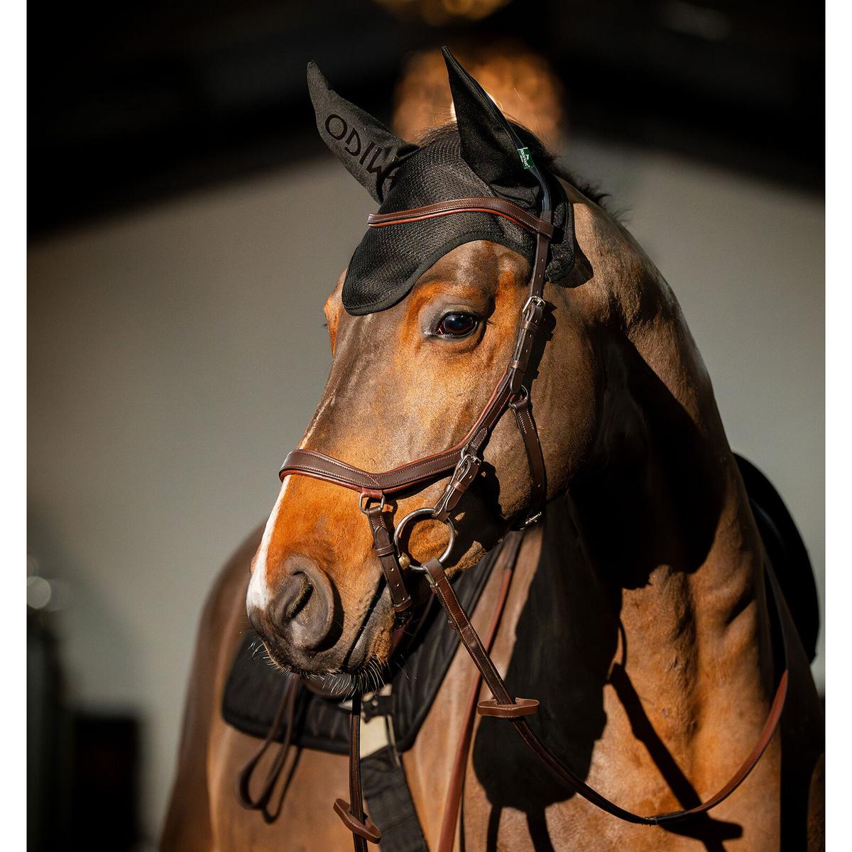 product/h/o/horseware_dera01-k000-ch_black_1.jpg