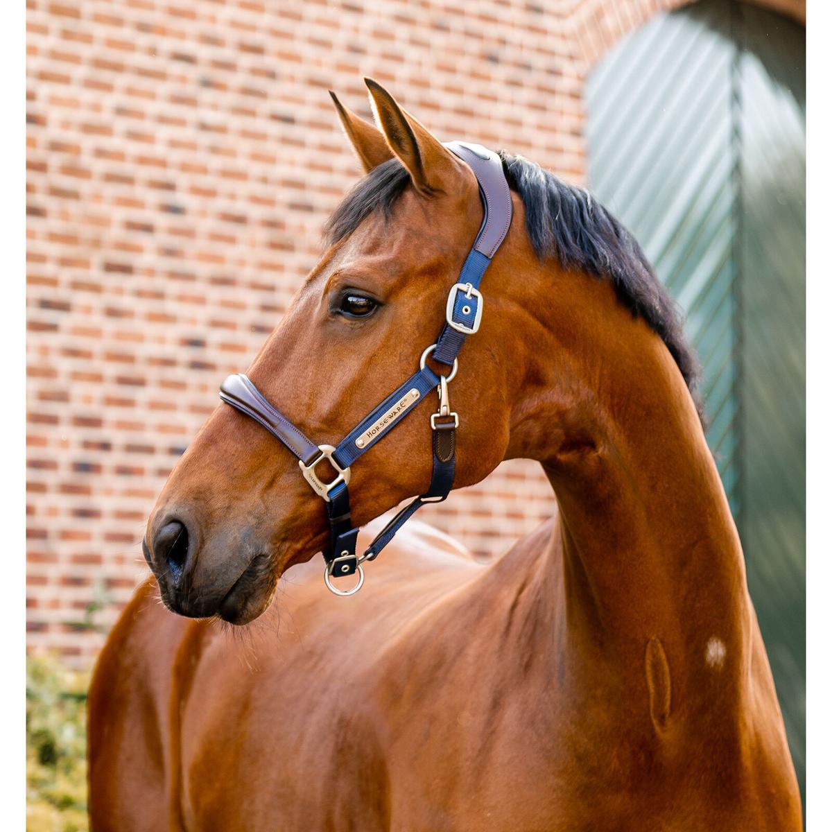 product/h/o/horseware_dhhmm1-nbb0-co_brown-navy_1.jpg