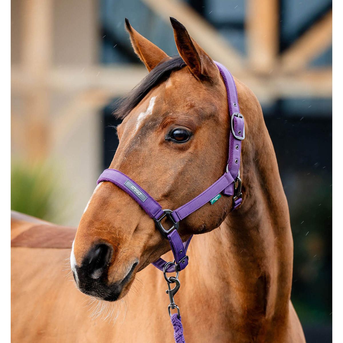 product/h/o/horseware_dhrx01-pp00-co_winterberry_1.jpg