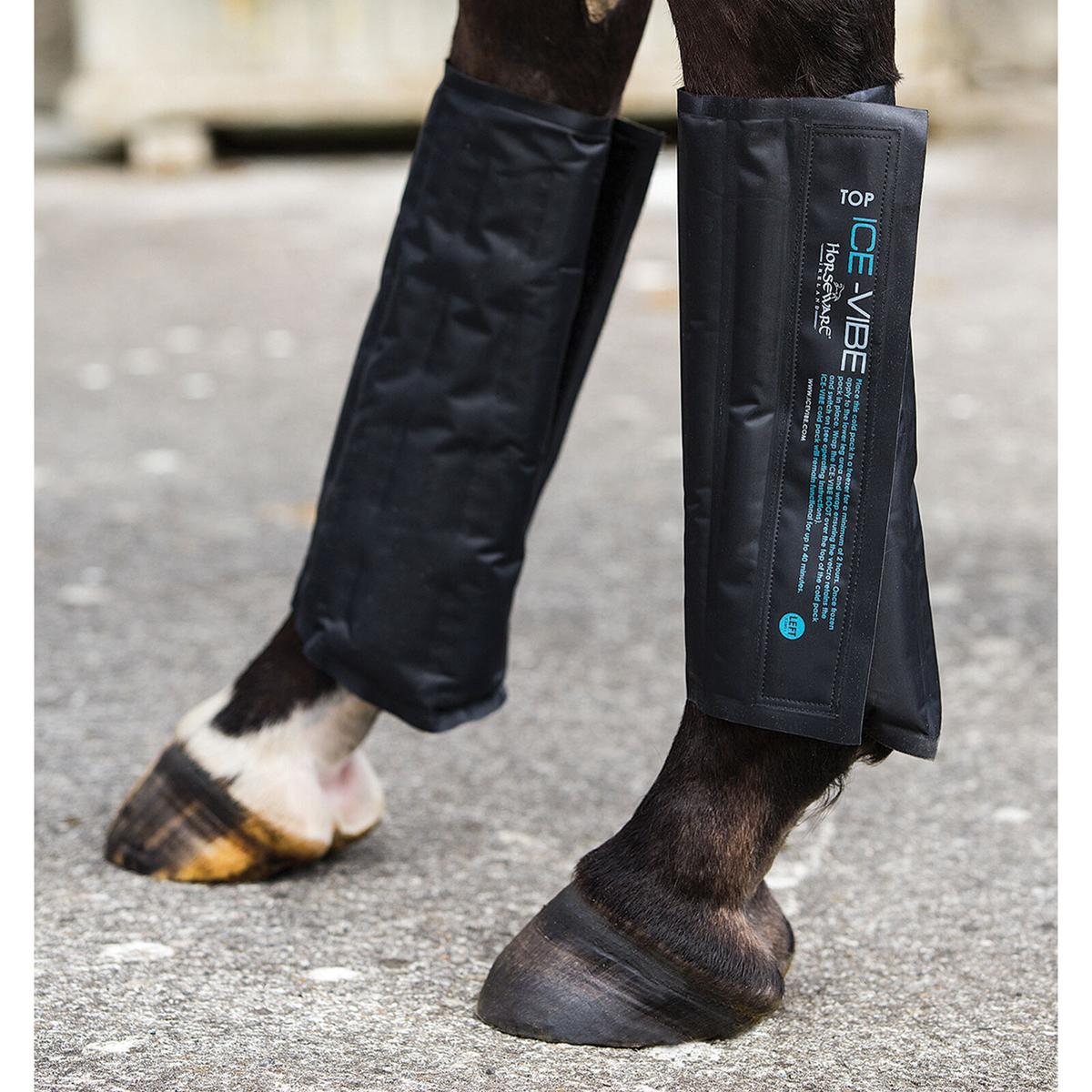 product/h/o/horseware_dyhk61-k000.jpg
