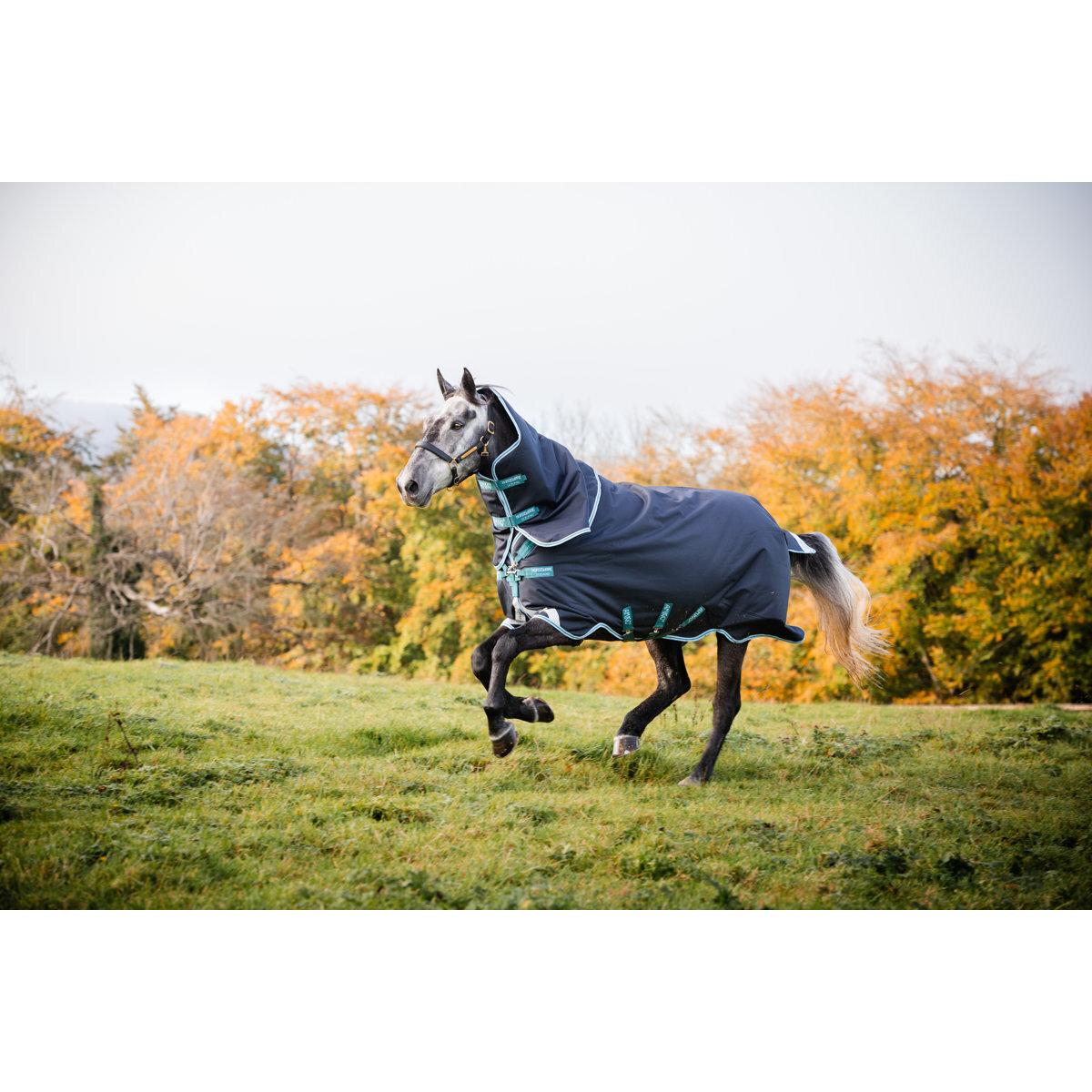 product/h/o/horseware_hwaarp72naaq56_3.jpg