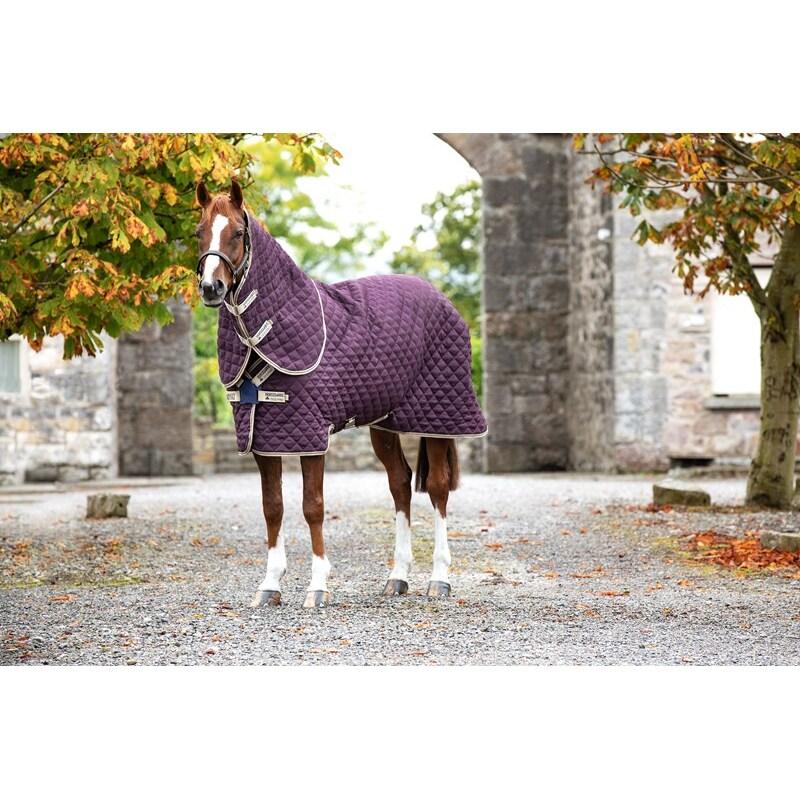 product/h/o/horseware_hwabrdt2fig.jpg