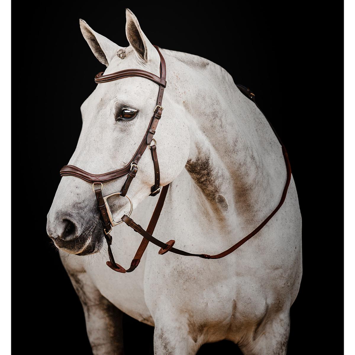 product/h/o/horseware_sbmen1-nab0-co_dark-havana_1.jpg