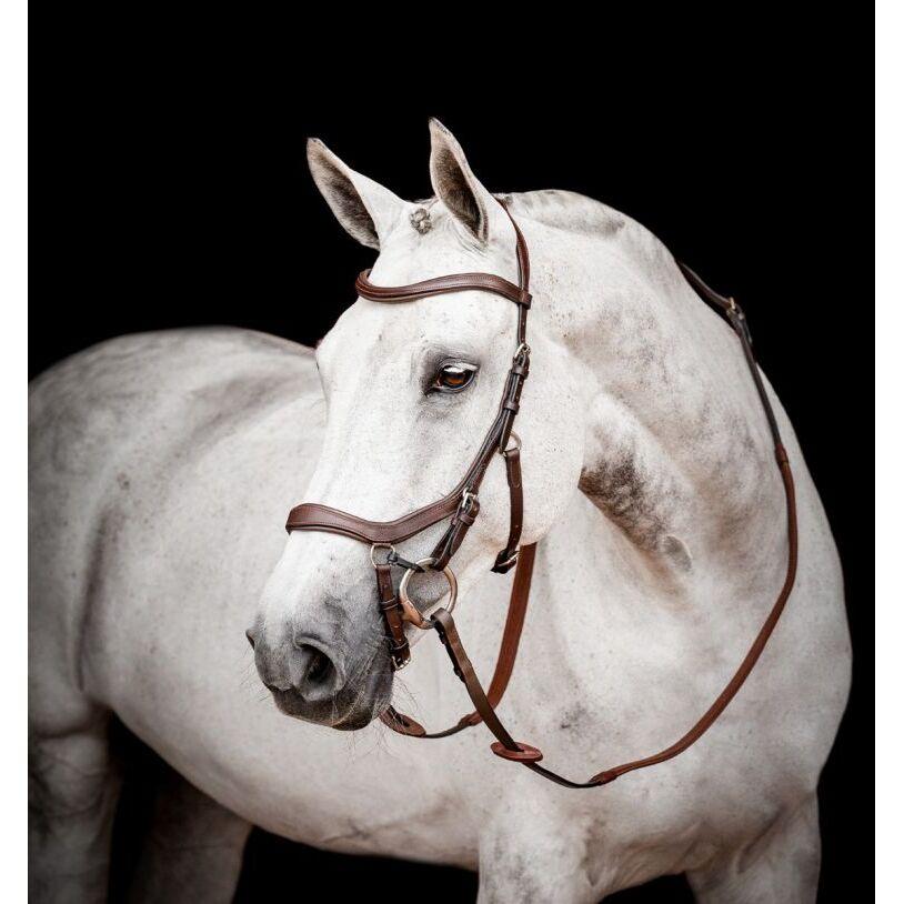 product/h/o/horseware_sbmom0-nab0-lc_dark-havana_1.jpg