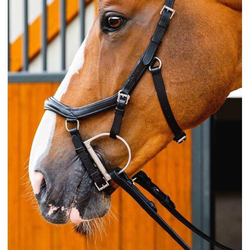 product/h/o/horseware_sbmum0-k000_2.jpg