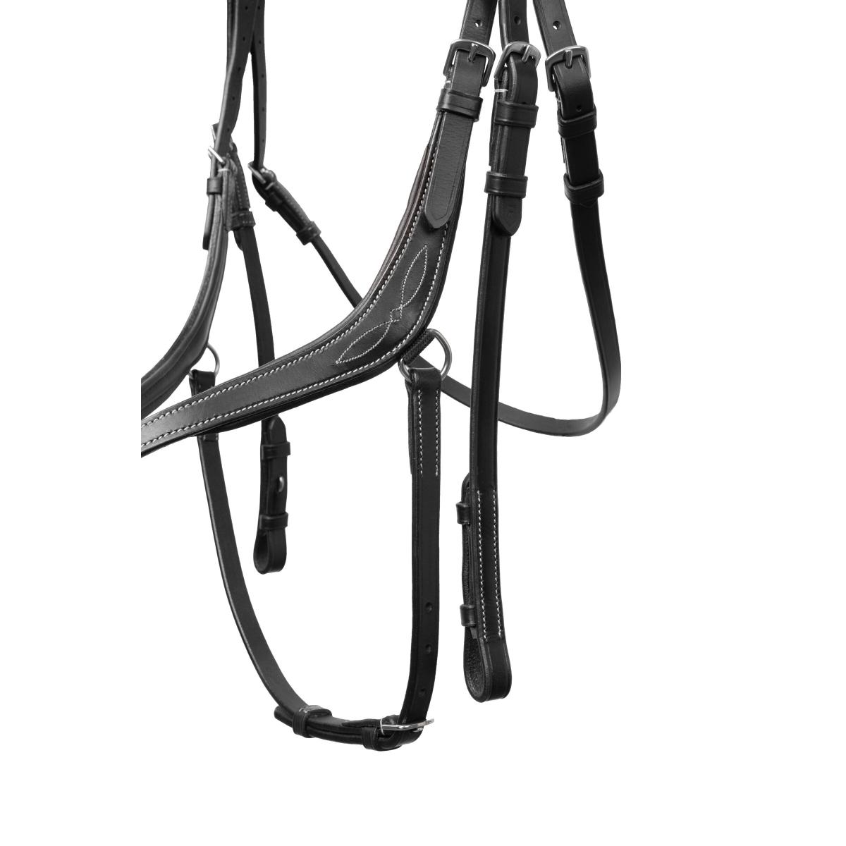 product/h/o/horze_rse8q-099_black_5.jpg