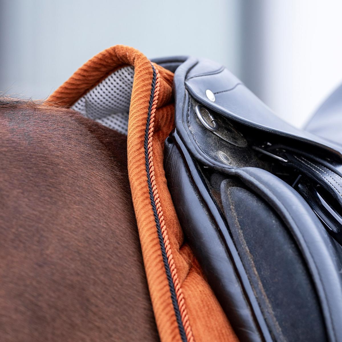 product/h/v/hv-polo_0801093651-8093_fox_3.jpg