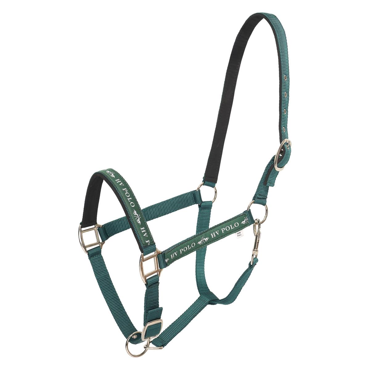 product/h/v/hv-polo_1601093600-6130_duck-green_1.jpg