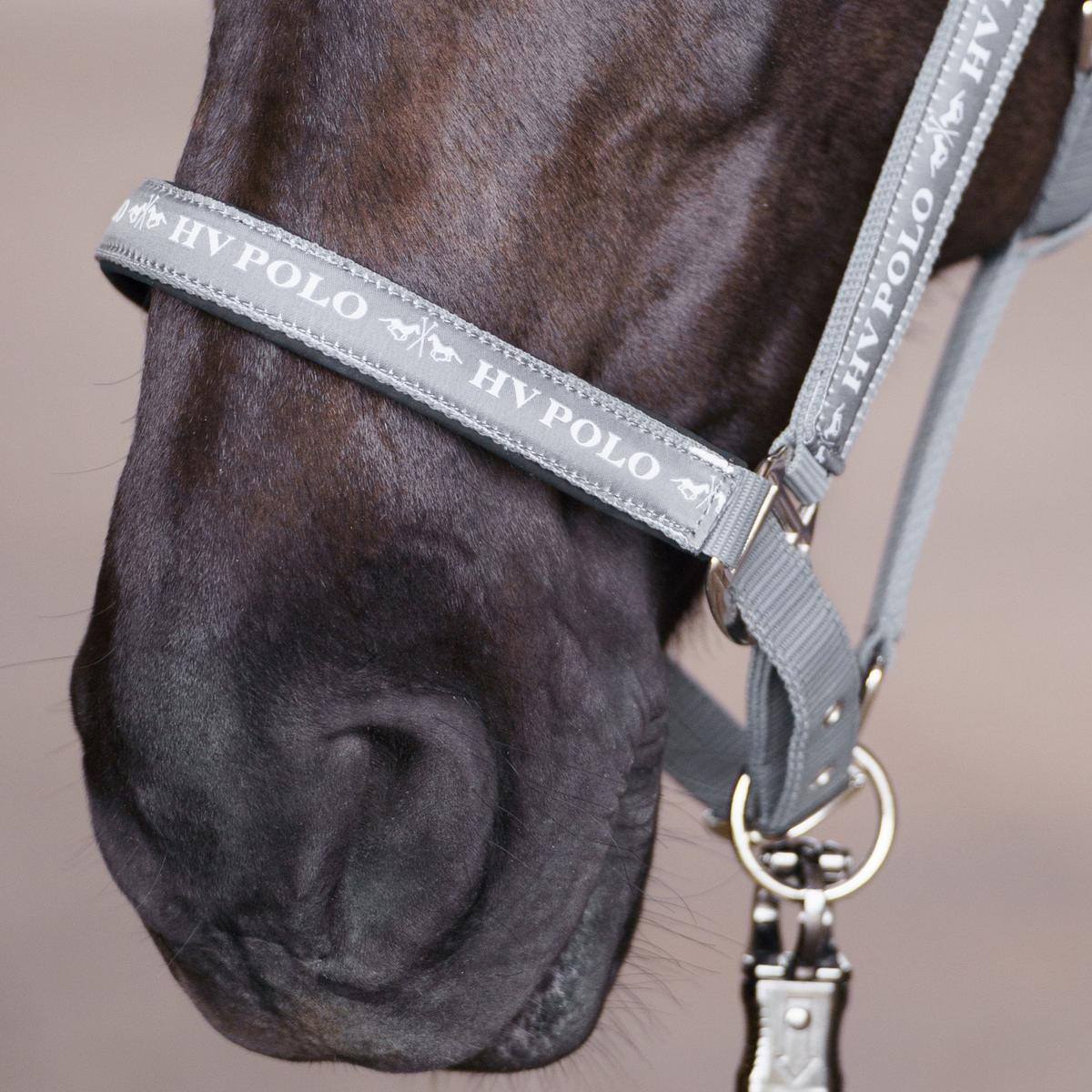 product/h/v/hv-polo_1601093600-7038_stone_2.jpg