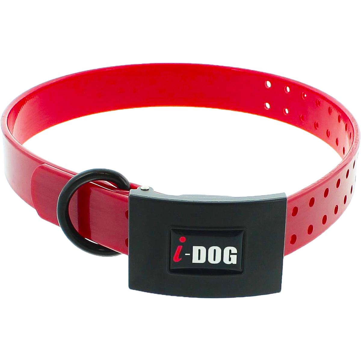product/i/-/i-dog_i152502_0.jpg