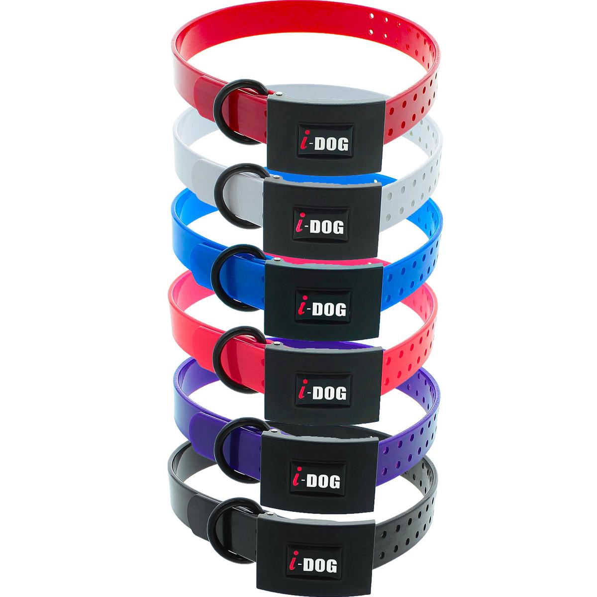 product/i/-/i-dog_i152505_1.jpg