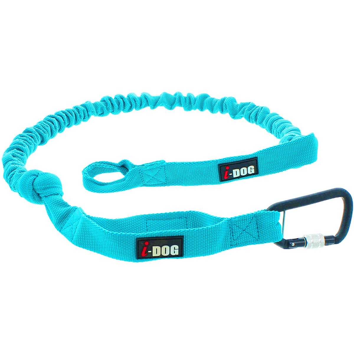 product/i/-/i-dog_i21b.jpg