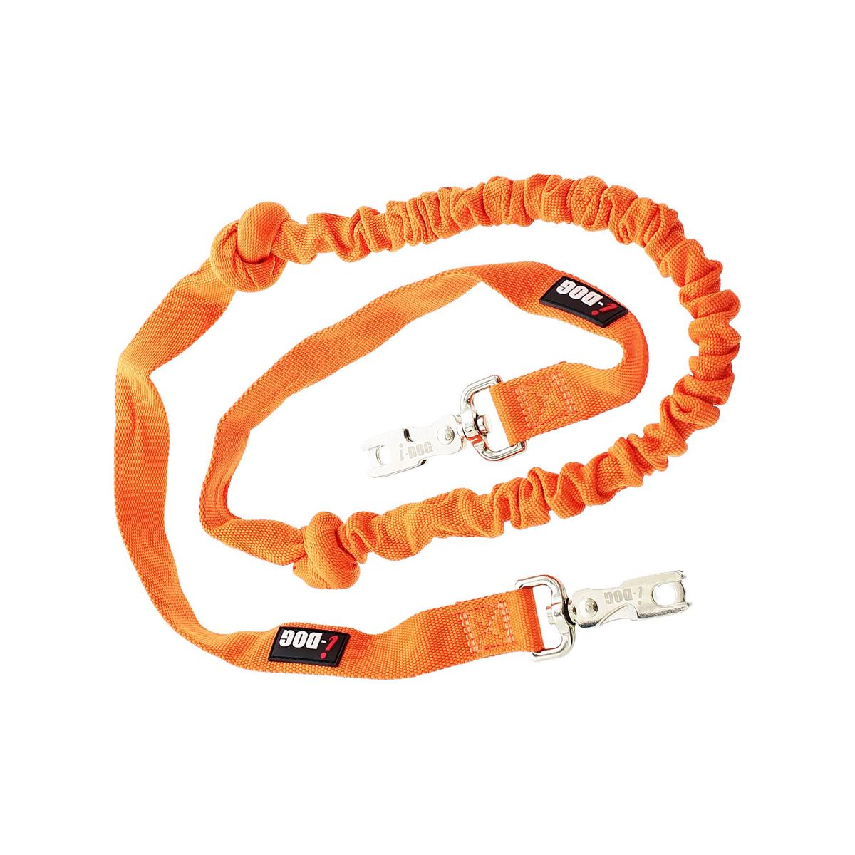 product/i/-/i-dog_i29o.jpg