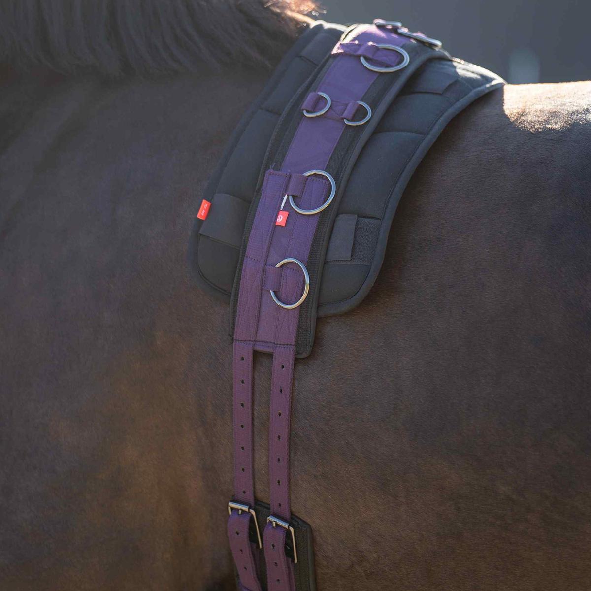 product/i/m/imperial-riding_1607030004-4060_black-berry_2.jpg