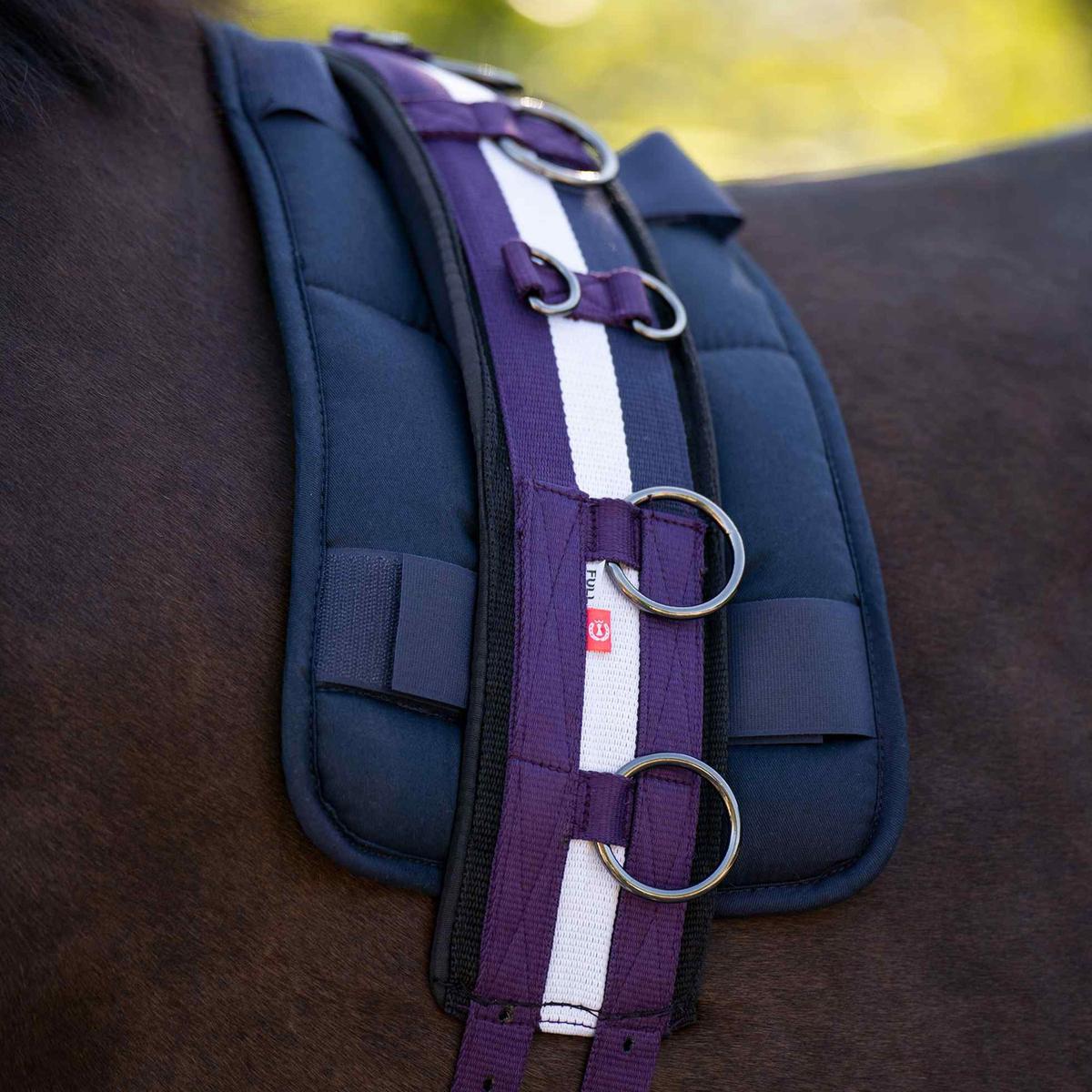 product/i/m/imperial-riding_1607030004-4061_black-berry-white-navy_2.jpg