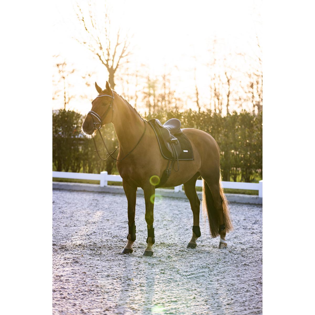 product/i/m/imperial-riding_be10322001-9000_4.jpg