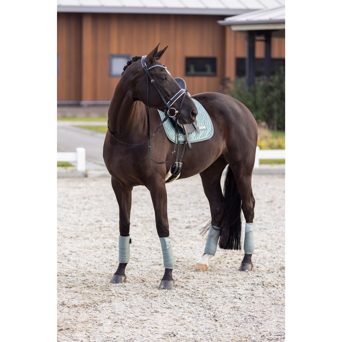 product/i/m/imperial-riding_zt73322001-6036_4.jpg