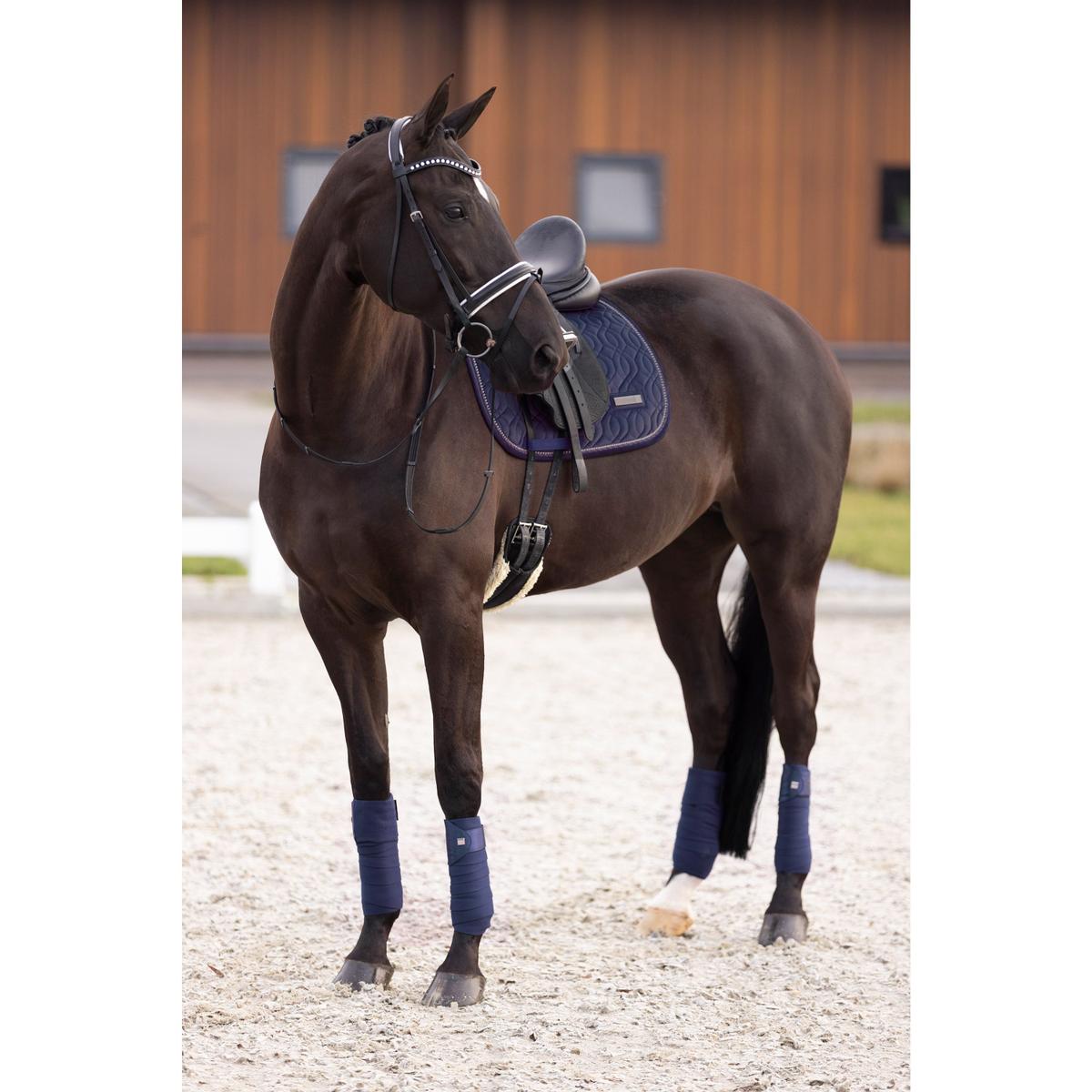 product/i/m/imperial-riding_zt78322001-5001_2.jpg