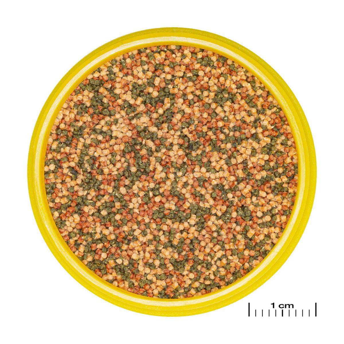 product/j/b/jbl_jb311200_marron-verte_1.jpg