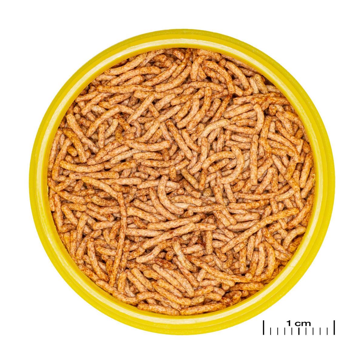 product/j/b/jbl_jb311800_marron_1.jpg