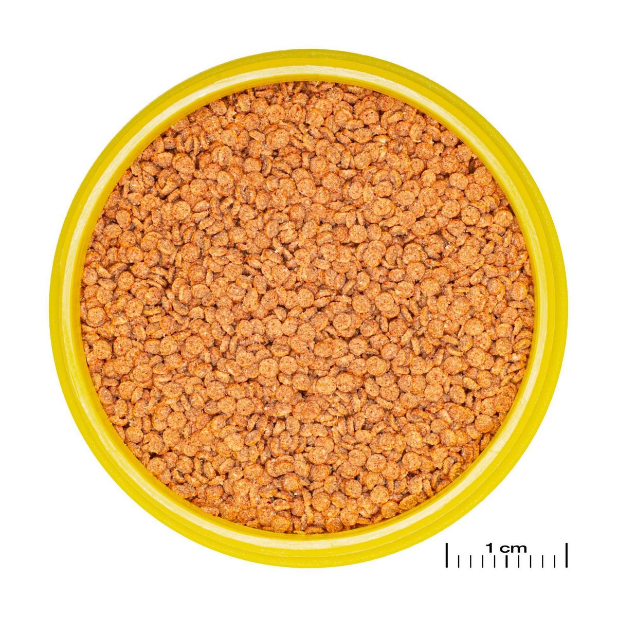 product/j/b/jbl_jb313070_marron_1.jpg