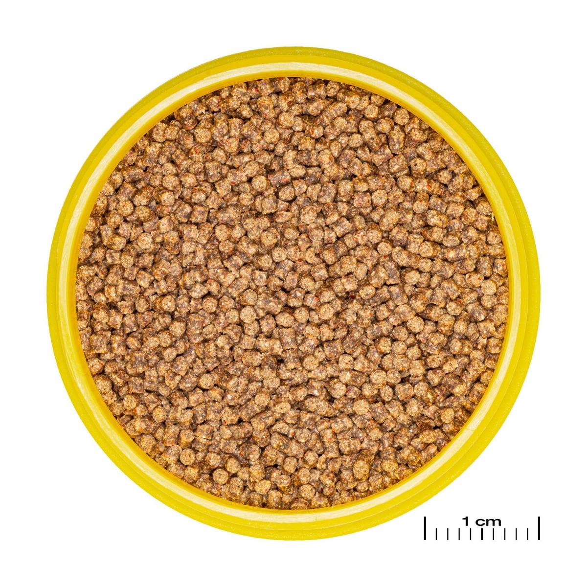 product/j/b/jbl_jb313520_marron_1.jpg
