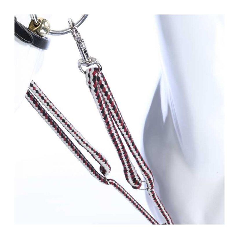 product/k/a/kavalkade_0261080000208_2.jpg