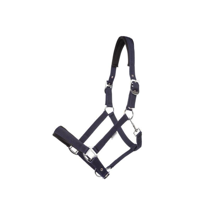 product/k/a/kavalkade_290191050400.jpg
