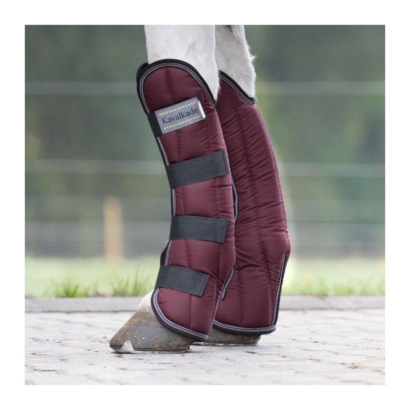 product/k/a/kavalkade_307361350800_4.jpg