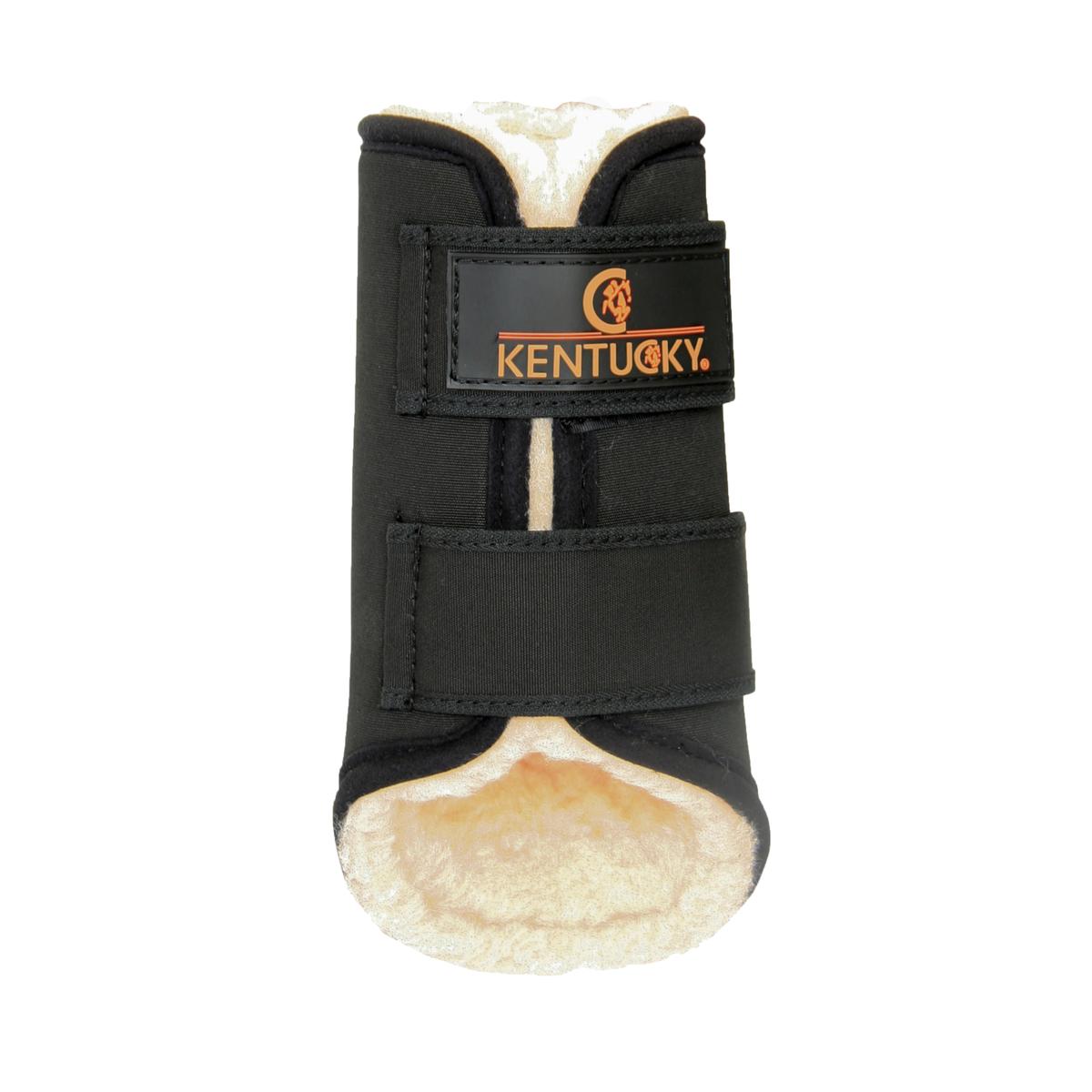 product/k/e/kentucky_42302-01-f_1.jpg