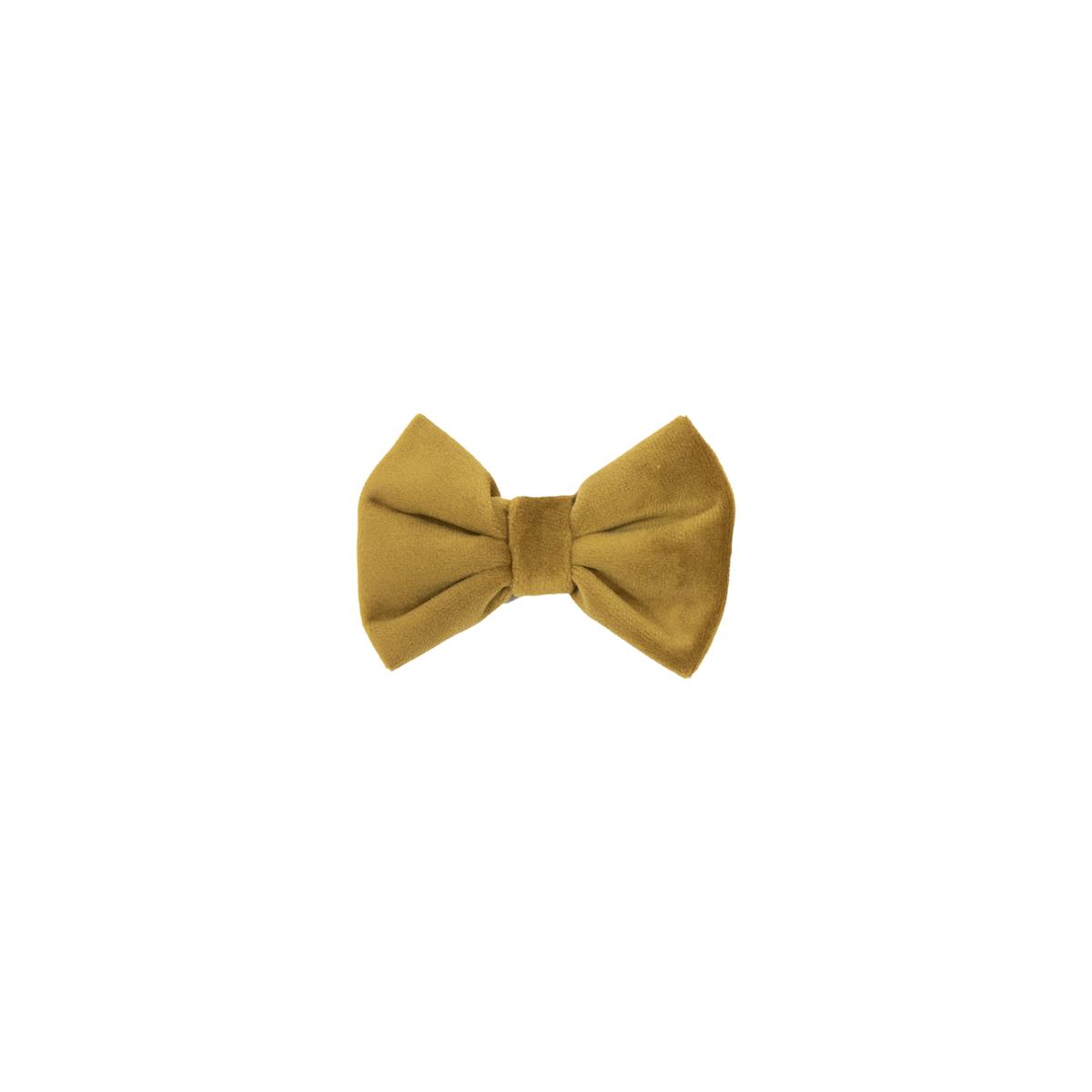 product/k/e/kentucky_42438-44-s.jpg