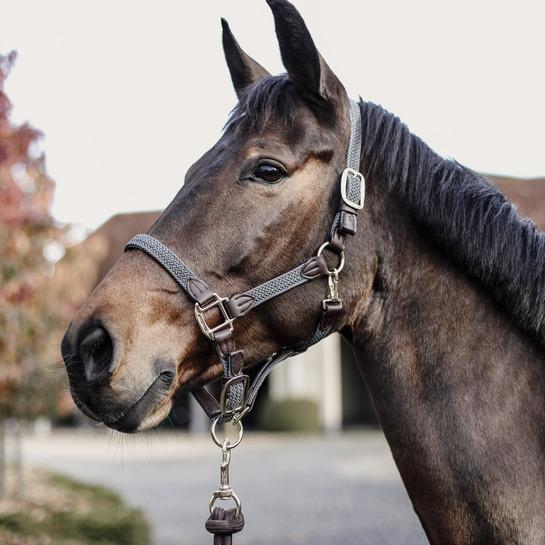 product/k/e/kentucky_42516-08-cob_grey_2.jpg
