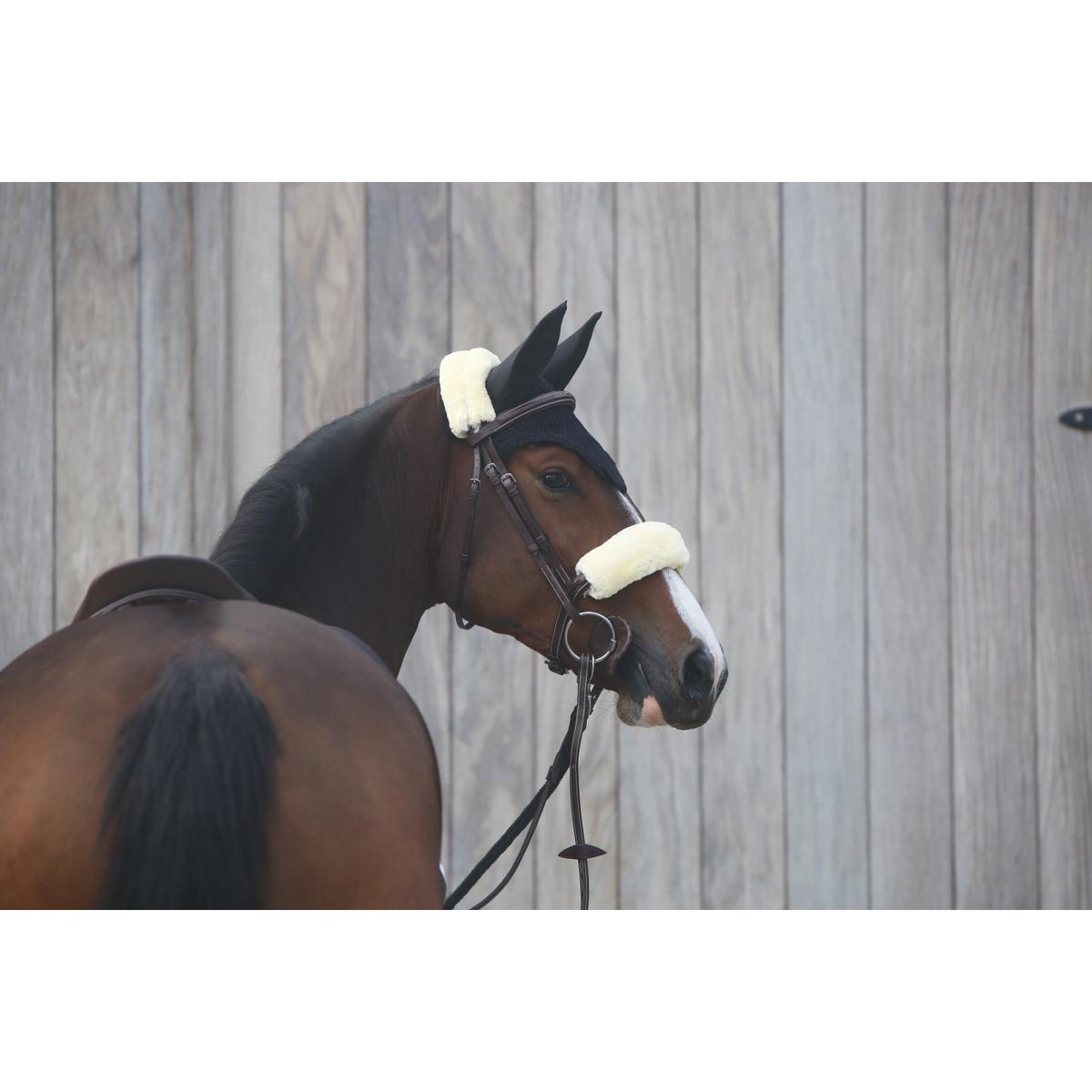 product/k/e/kentucky_42602-02-28_2.jpg