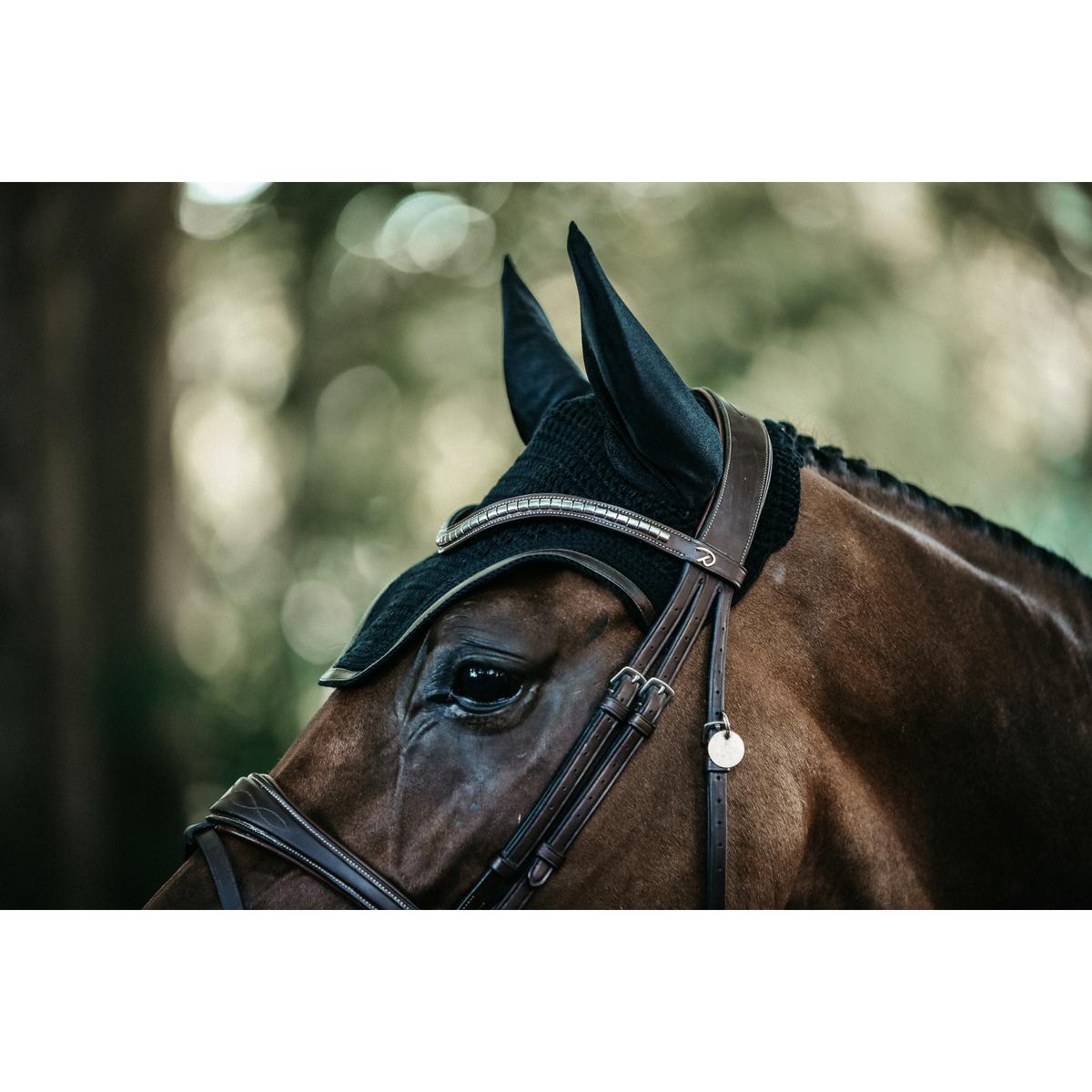 product/k/e/kentucky_42612-01-f_2.jpg