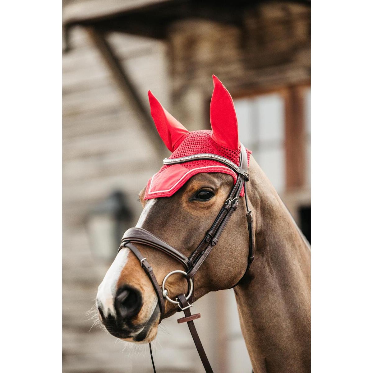 product/k/e/kentucky_42626-13-c_0.jpg
