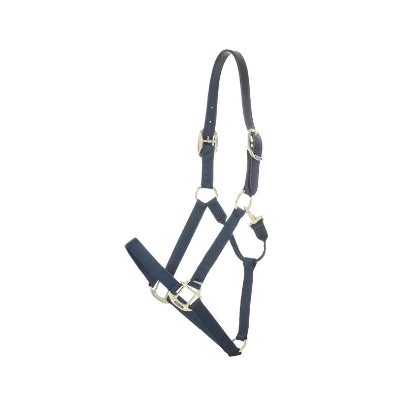 product/k/e/kentucky_42665-03-p_navy_2.jpg